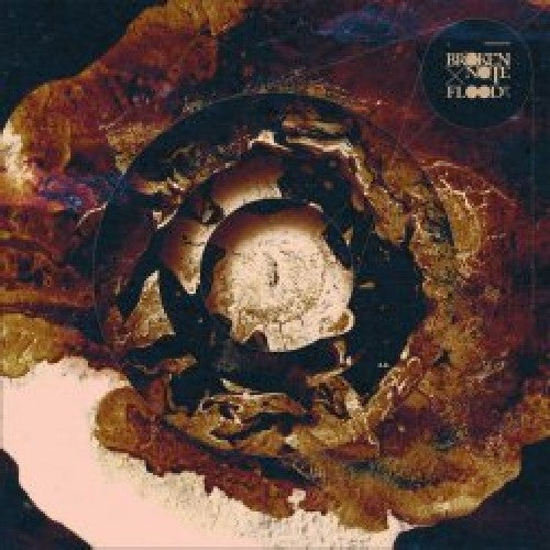 Broken Note - Flood - Vinyl Record