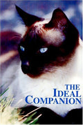 Ideal Companion - Ideal Companion - DVD