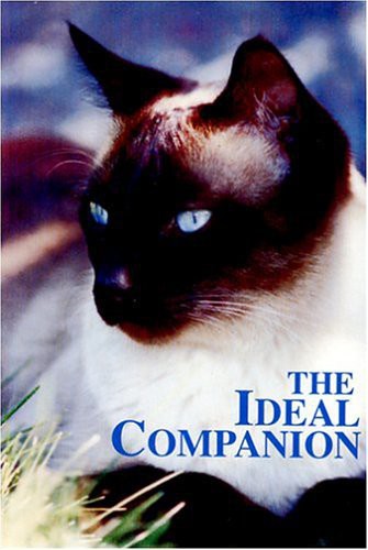 Ideal Companion - Ideal Companion - DVD