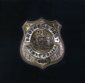 Brothers Past - Statepolice - Music CD