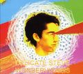 Delicate Steve - Wondervisions - Music CD
