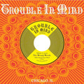 Wrong Words - I Will Change Your Mind - Vinyl Record