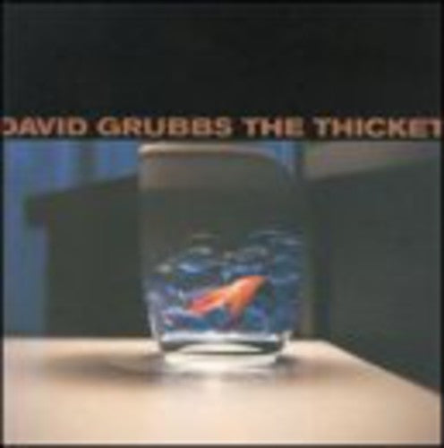 Grubbs,david - Thicket - Music CD