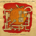 Halvorson,mary / Evans,peter / Walter,weasel - Electric Fruit - Music CD