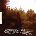 Holydrug Couple - Ancient Land - Vinyl Record
