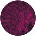 Peahen / Various - Peahen / Various - Vinyl Record