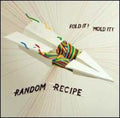 Random Recipe - Fold It! Mold It! (vinyl) - Vinyl Record