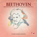 Beethoven - Serenade For Flute Violin & Viola - Music CD