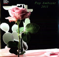 Pop Ambient 2011/ Various - Pop Ambient 2011/ Various - Vinyl Record