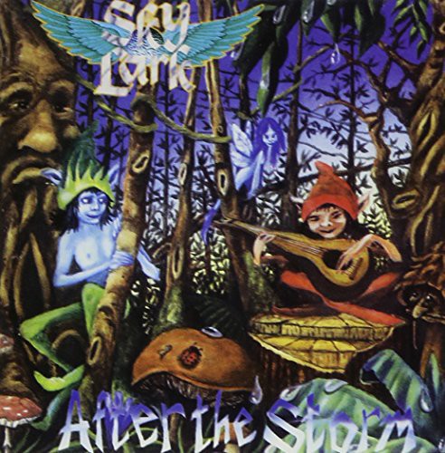Skylark - After The Storm - Music CD