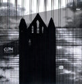 Coh - Iiron - Vinyl Record