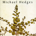 Hedges,michael - Taproot - Music CD