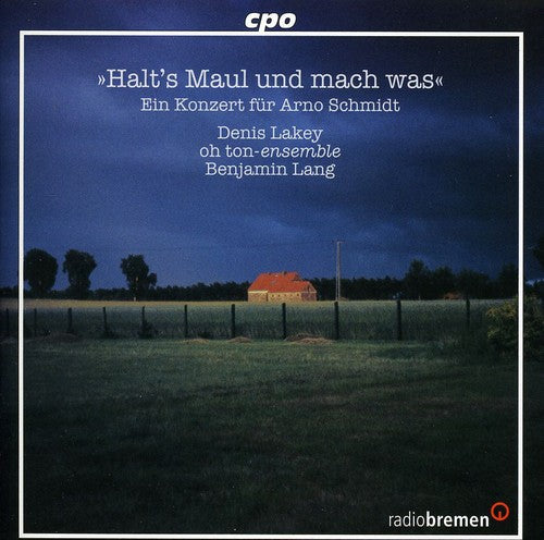 Desi; Reudenbach; Hp Platz; Lohse / Lakey - Concert For Arno Schmidt - Music CD