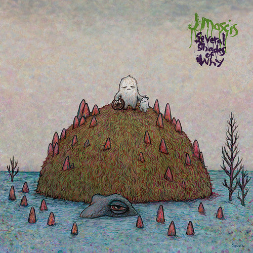 Mascis,j - Several Shades Of Why - Music CD