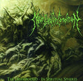 Near Death Condition - Disembodied: In Spiritual Spheres - Music CD