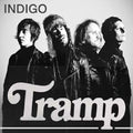 Tramp - Indigo - Music CD