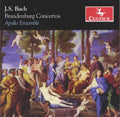 Bach / Apollo Ensemble - Brandenburg Concertos - Music CD