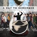 Day To Remember - What Separates Me From You - Vinyl Record