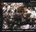 We3 - Amazing - Music CD
