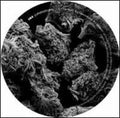 Ike - Supernatural - Vinyl Record