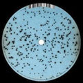 Passarani,marco - Colliding Stars Pt. 2 - Vinyl Record