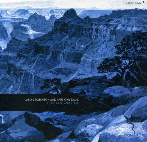 Davis,anthony - Cerulean Landscape - Music CD