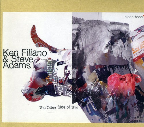 Filiano,ken - Other Side Of This - Music CD