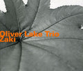 Lake,oliver Trio - Zaki - Music CD