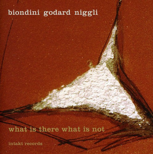 Biondini / Godard - What There What Not - Music CD