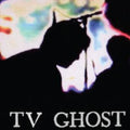 Tv Ghost - Mass Dream - Vinyl Record