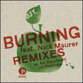 Dj T / Maurer,nick - Burning - Vinyl Record