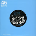 Wooden Wand - Circle - Vinyl Record