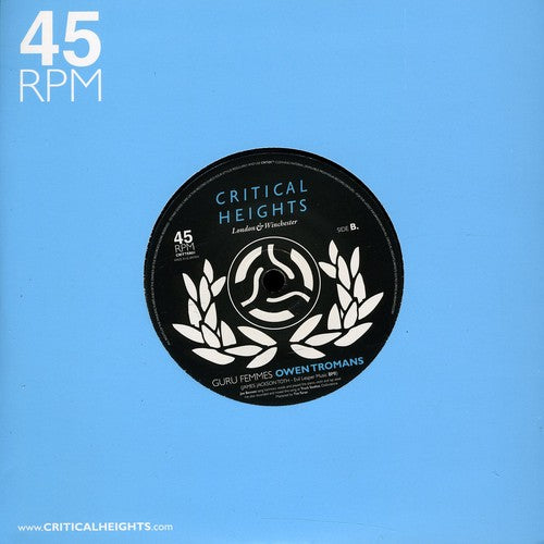 Wooden Wand - Circle - Vinyl Record