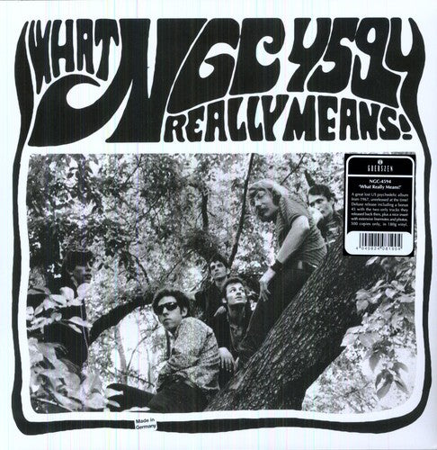 Ngc-4594 - What Really Means - Vinyl Record