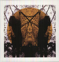 Austra - Feel It Break - Vinyl Record