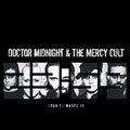 Doctor Midnight & The Mercy Cult - (don't) Waste It - Vinyl Record