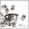 Hog - Archetypes - Music CD
