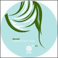 Burnski - Sometimes Takes Longer - Vinyl Record