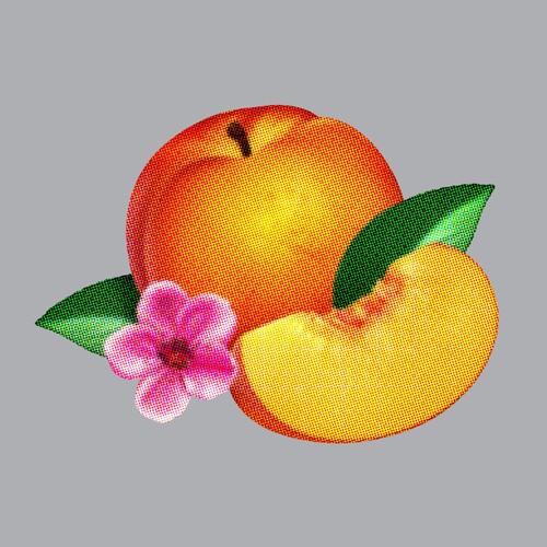 Phoenix - Bankrupt - Vinyl Record