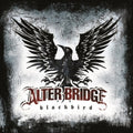 Blackbird [Import] Vinyl Record