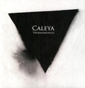 Caleya - Truemmermensch - Vinyl Record