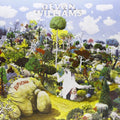 Williams,devon - Euphoria - Vinyl Record