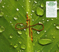 Townsend,devin Project - Ghost - Music CD