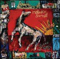 Warped 45's - Matador Sunset - Vinyl Record