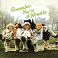 Wombles - Remember You're A Womble - Music CD