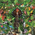Plankton Wat - Drifter's Temple - Vinyl Record