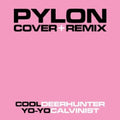 Pylon - Cover & Remix - Vinyl Record
