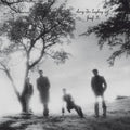 Josef K - Sorry For Laughing - Vinyl Record
