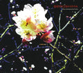 Beroshima - Polyphonication - Music CD