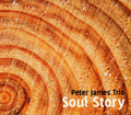 James,peter/trio - Soul Story - Music CD